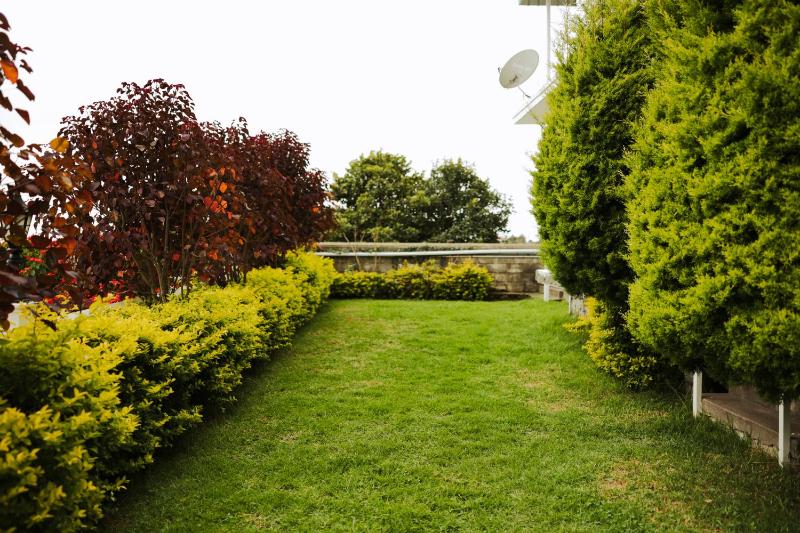 Golden Vista - Luxury Homestay - image 7