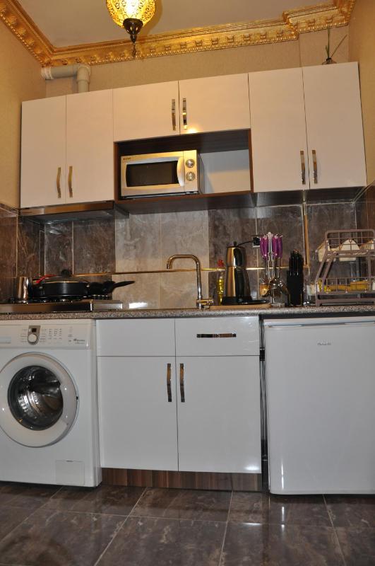 Two-Bedroom Apartment image 4