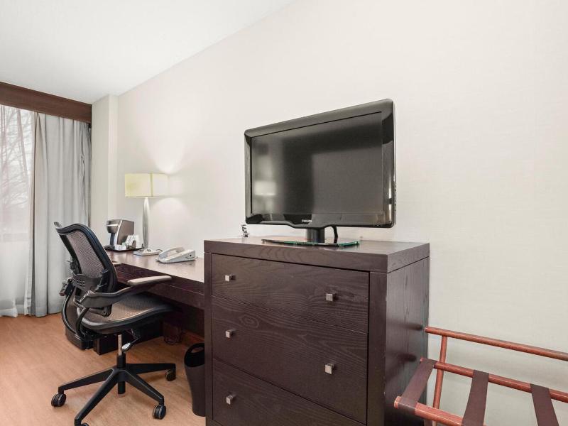 Standard Double Room image 4