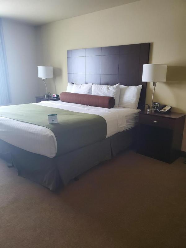 King Room image 2