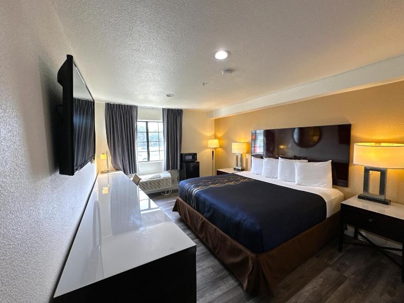 King Room image 4