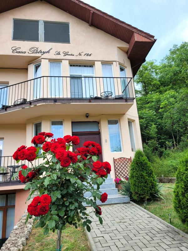 Casa Patryk Images