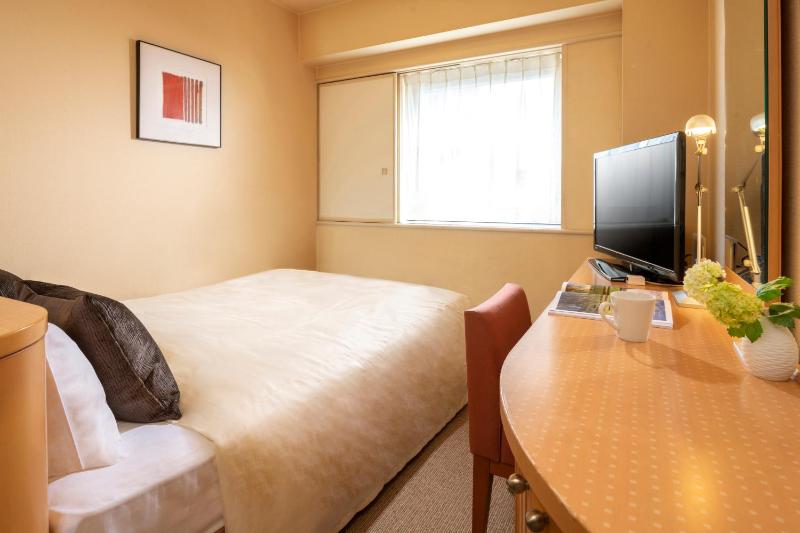 Deluxe Single Room - Smoking image 2