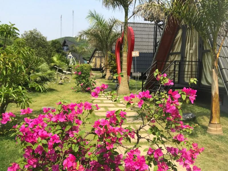 Thung Lũng Ba Đồi Chè - image 11