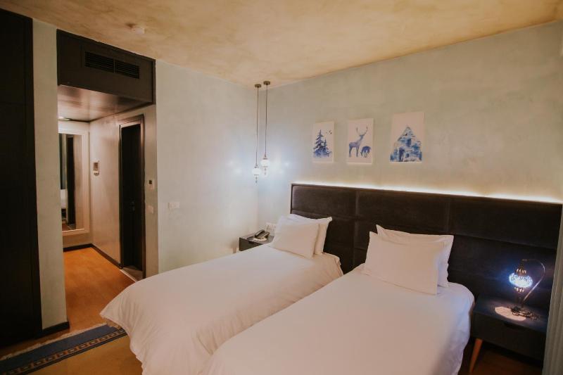 Deluxe Twin Room image 3