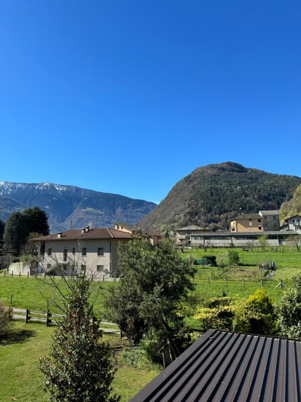 Single Room with Mountain View image 4