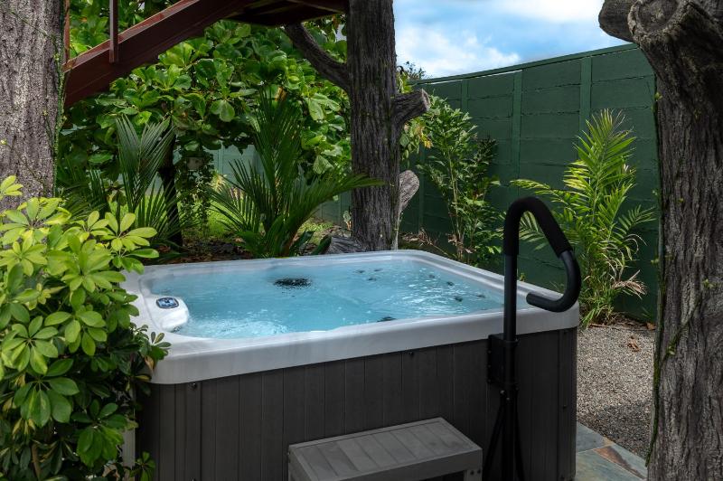 House Monstera Arenal - image 6