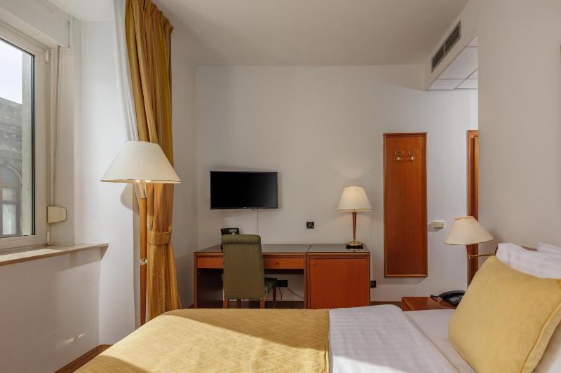 Superior Single Room image 3
