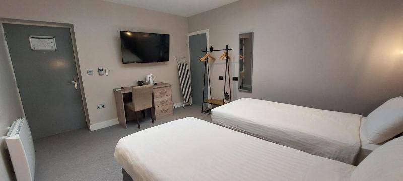 Deluxe Twin Room image 3