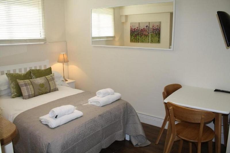 One-Bedroom Apartment - Basement image 4