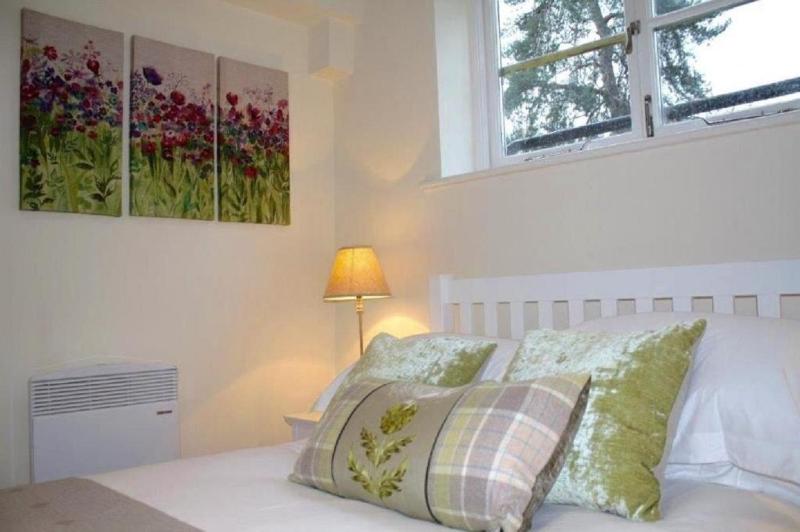 One-Bedroom Apartment - Basement image 3