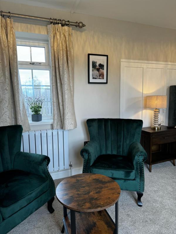 Deluxe King Suite image 2