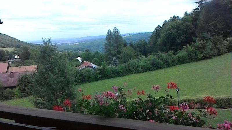 Single Room with Balcony image 4