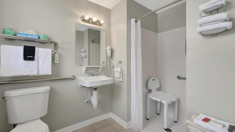 Queen Room - Disability Access image 4