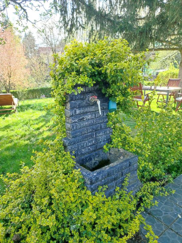 Garden House - image 11
