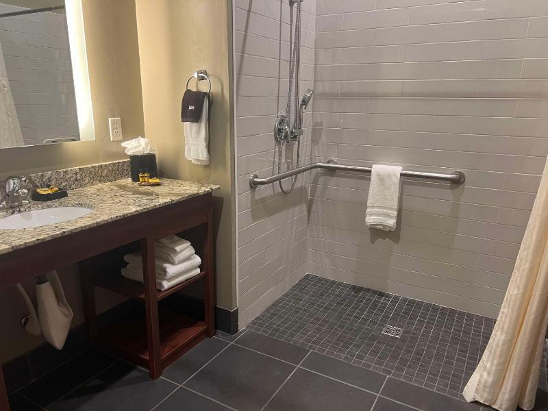 King Room with Roll-In Shower and Kitchenette - Disability Access/Non-Smoking image 3