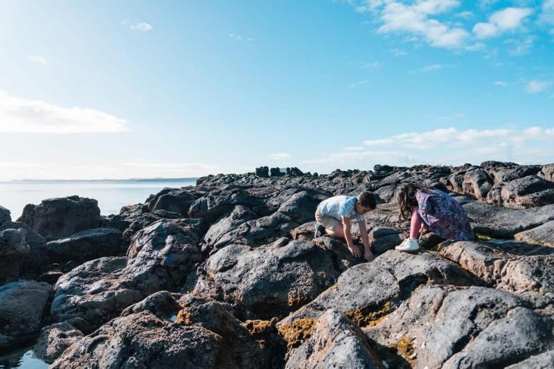 Takapuna Beachfront w Stunning Views - image 7