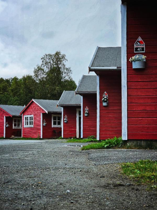 Tromsø Lodge & Camping - image 6
