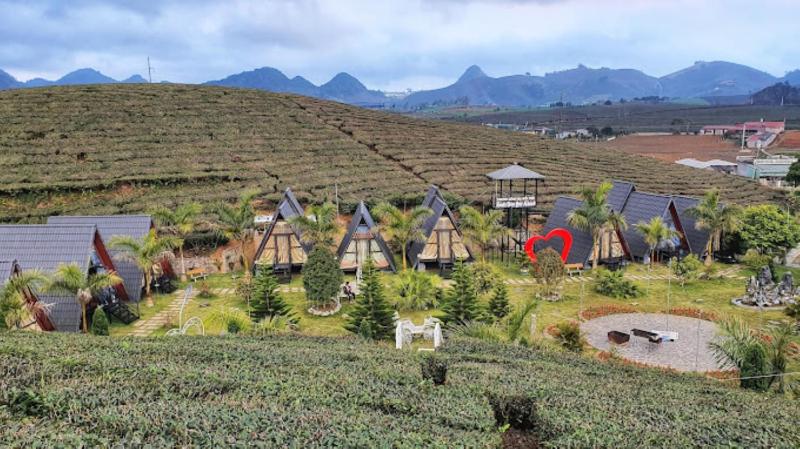 Thung Lũng Ba Đồi Chè - image 24