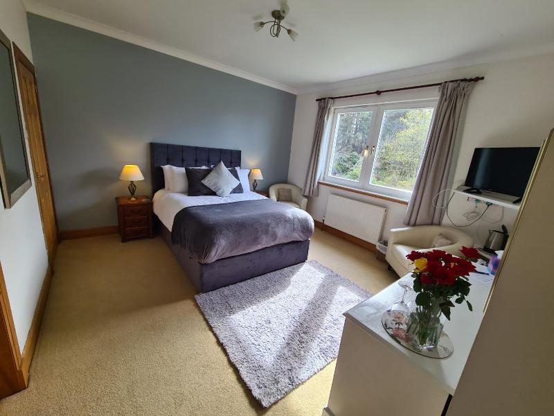 Deluxe King Room image 2