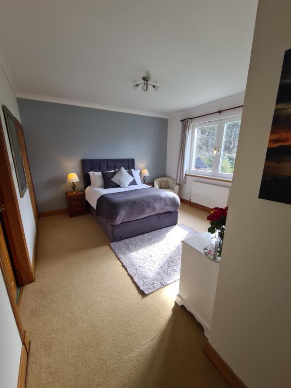 Deluxe King Room image 3