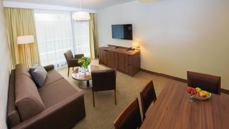 Premium Suite with Wellness Access image 4