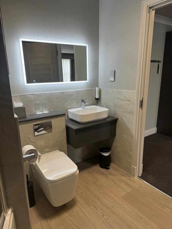 Deluxe Suite image 4