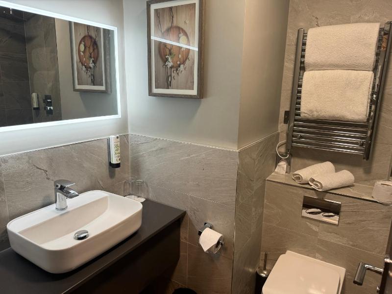 Deluxe Twin Room image 3