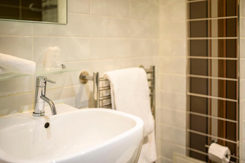 Deluxe Suite image 2