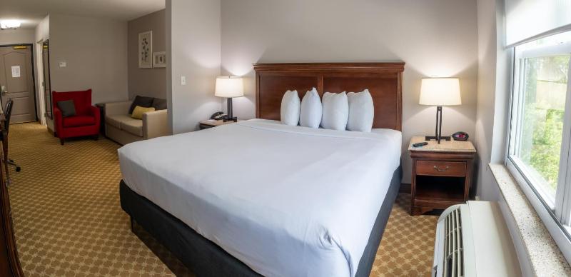 King Suite with Sofa Bed - Non Smoking image 3