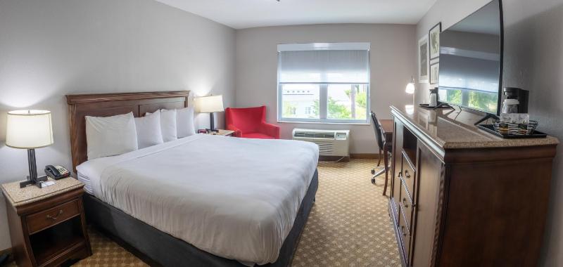 King Room - Non-Smoking image 2