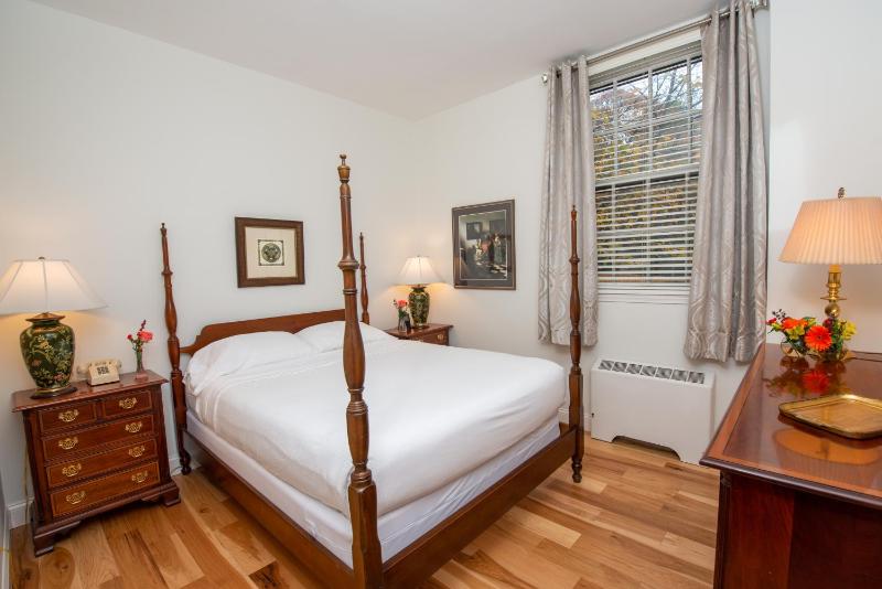 Deluxe One-Bedroom Suite image 1
