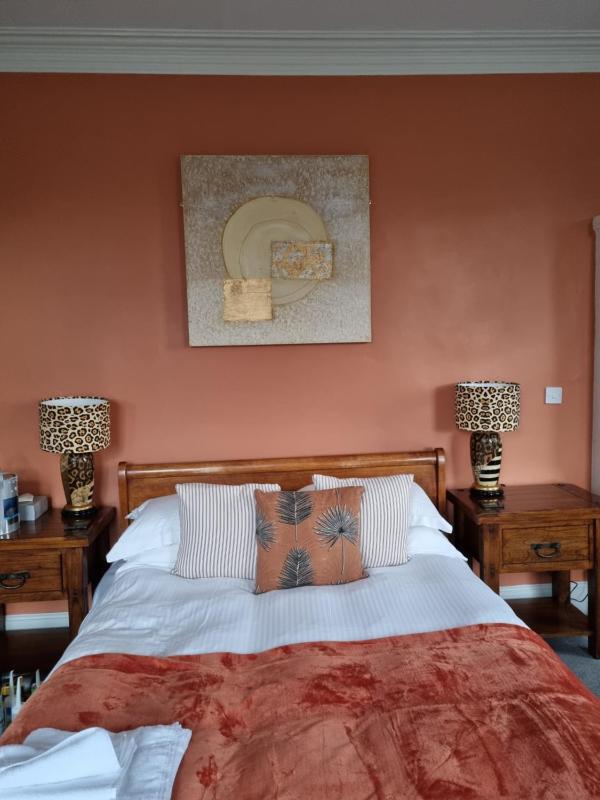 Premier Africa Room  image 4
