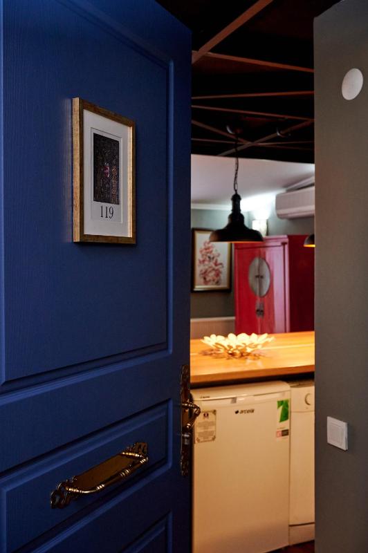 Duplex Apartment image 3