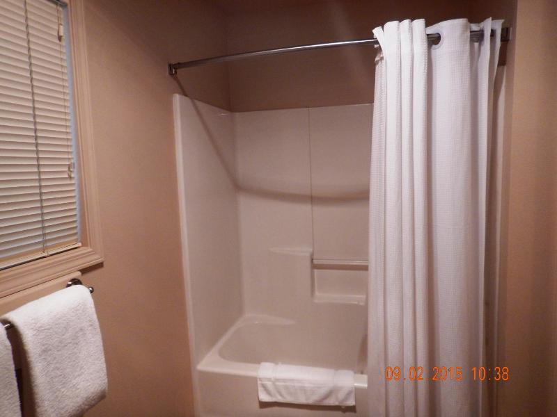 One-Bedroom Chalet with Forest View image 3