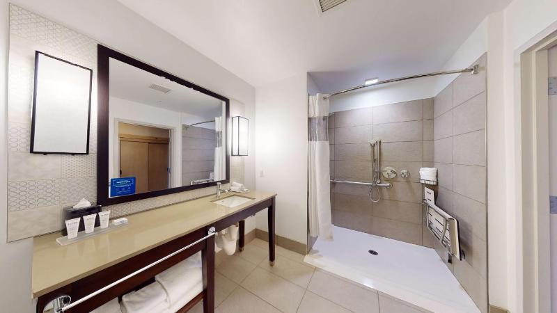 King Studio Suite with Roll-in Shower - Mobility/Hearing Access image 3