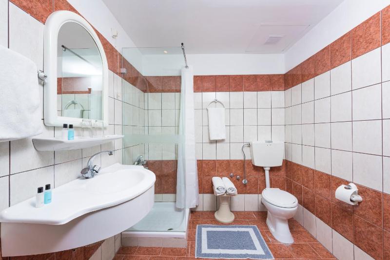 Double or Twin Room image 4
