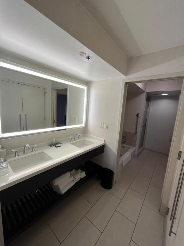 1 Bedroom Hospitality Suite, 1 King, Sofa bed image 4