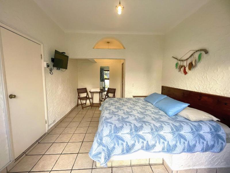 Hotel Allende - image 49