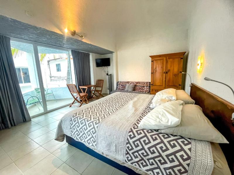 Hotel Allende - image 10