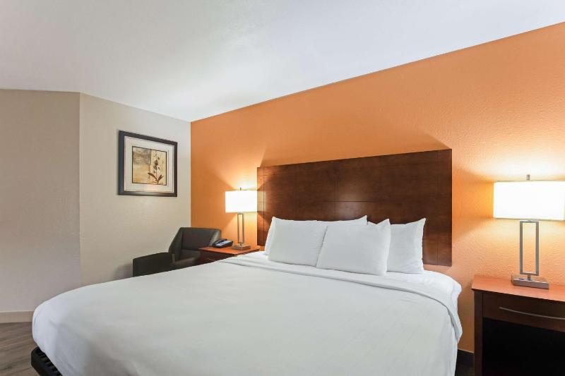 King Room with Walk-In Shower - Mobility Accessible/Non-Smoking image 4
