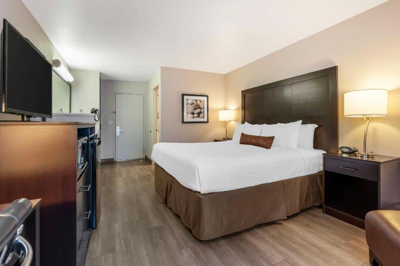 King Room - Non-Smoking image 1