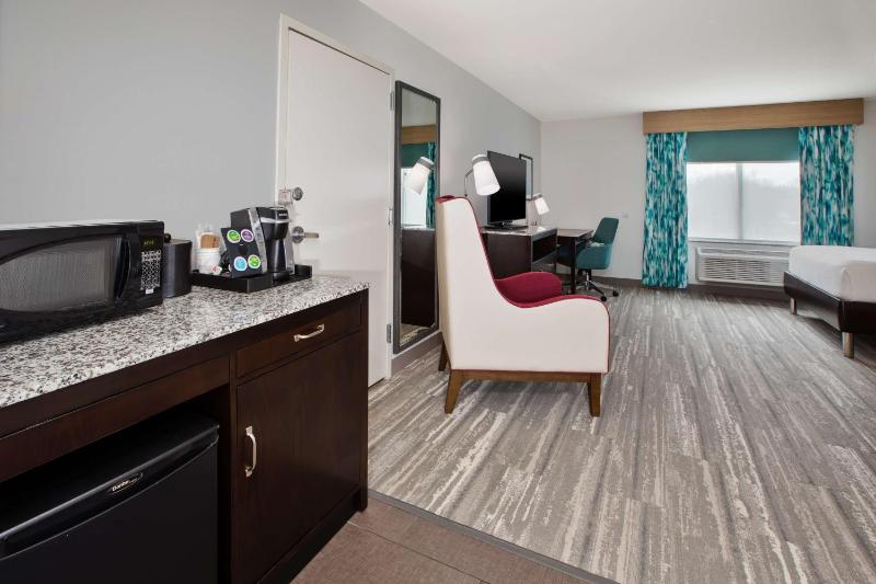 One-Bedroom Queen Suite image 4