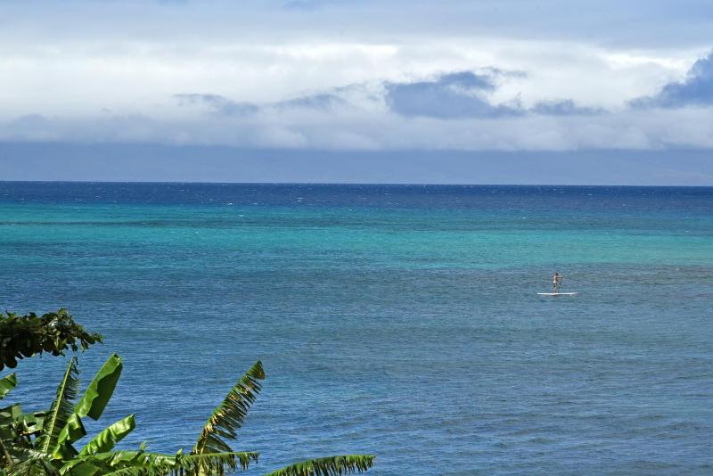 Valley Isle 302 - image 31