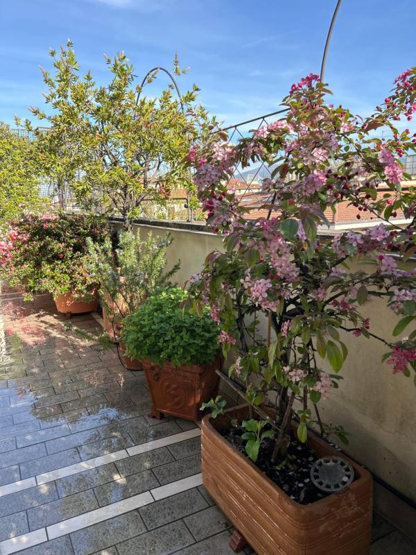 Cherubini Florence Residence - image 11