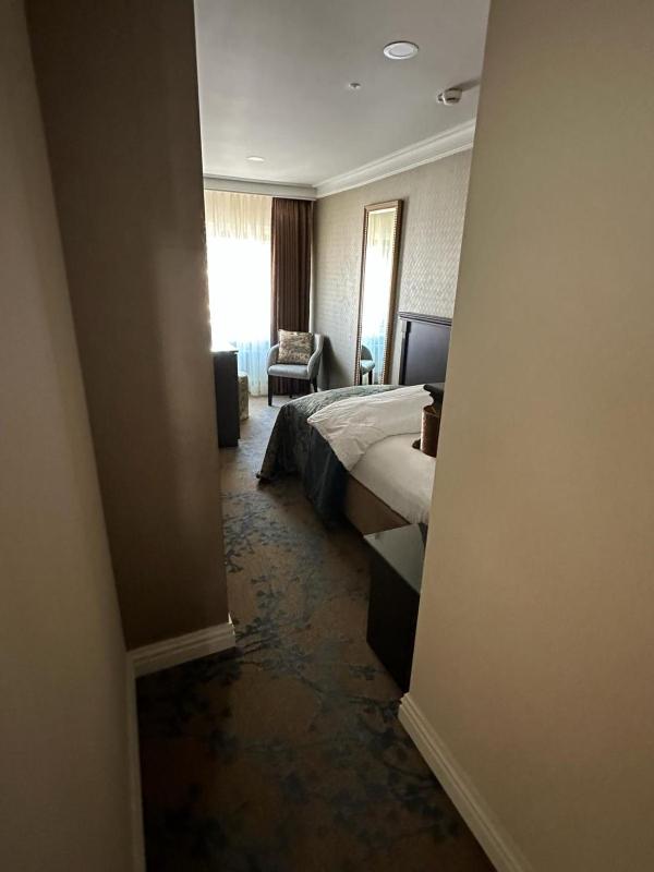 Single Room image 3