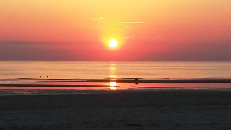 Duinen Paradijs Zandvoort - image 9