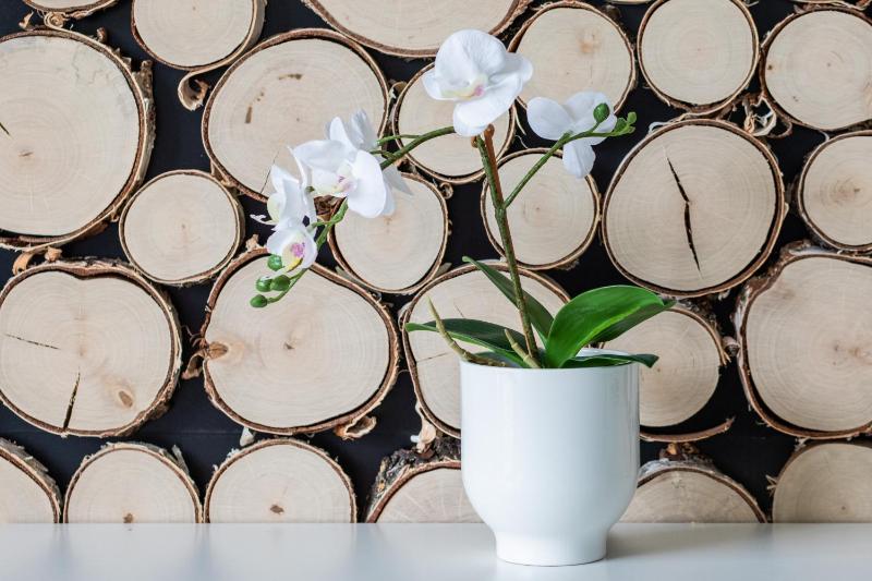 Ekskluzywne Apartamenty 