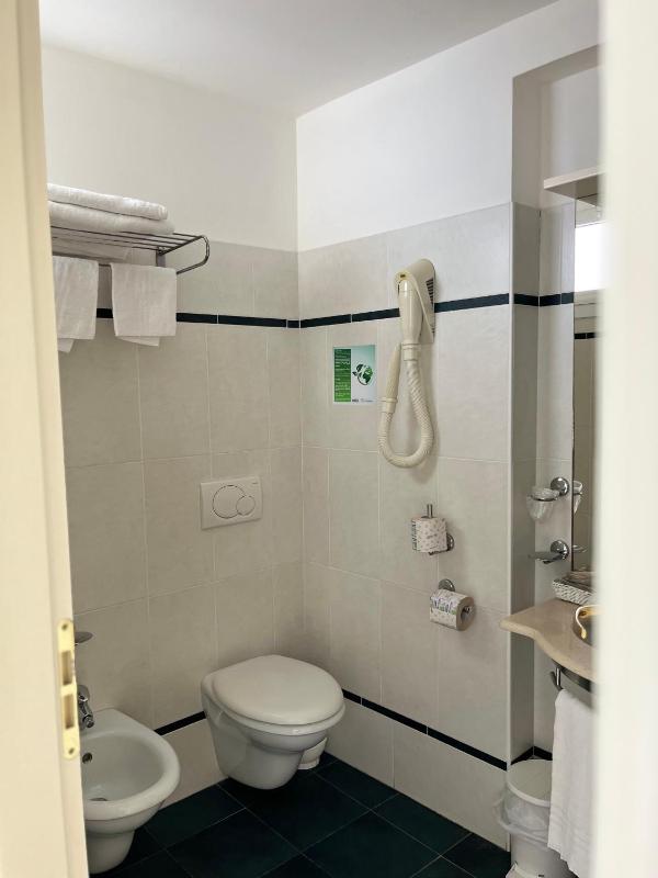 Superior Double or Twin Room image 3