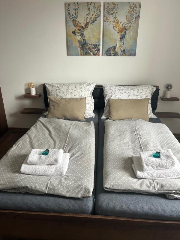 Double Room with Mountain View image 1